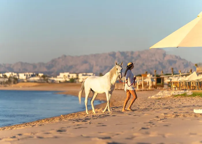 Resort Rixos Premium Magawish Bay View 5*